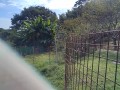 IMG_20251018_100908