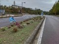 IMG_20251019_091114