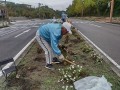 IMG_20251019_091808