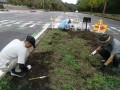 IMG_20251019_092449