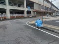 IMG_20251019_103408
