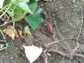 IMG_20251019_120023