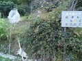 IMG_20251019_173023