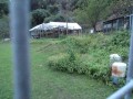 IMG_20251019_173120