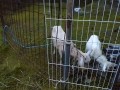 IMG_20251019_173704