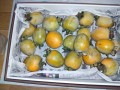 IMG_20251019_175356
