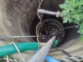 IMG_20251020_095121
