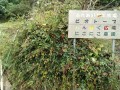 IMG_20251020_095144