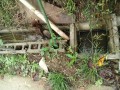 IMG_20251020_095149