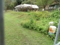 IMG_20251020_095324