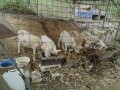 IMG_20251020_101007