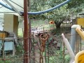 IMG_20251020_101033