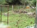 IMG_20251020_101052
