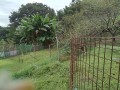IMG_20251020_101055