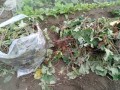 IMG_20251020_115351