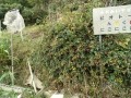 IMG_20251021_090006