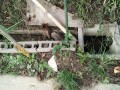 IMG_20251021_090012