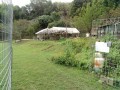 IMG_20251021_090038