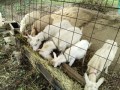 IMG_20251021_094619