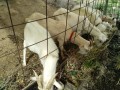 IMG_20251021_094646