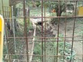 IMG_20251021_094713