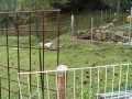 IMG_20251021_094731
