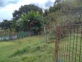 IMG_20251021_094733