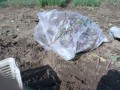 IMG_20251021_111841