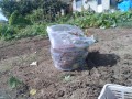 IMG_20251021_111844