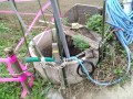 IMG_20251022_091944