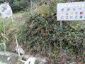 IMG_20251022_091954