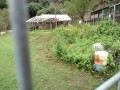 IMG_20251022_092035