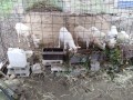 IMG_20251022_092611