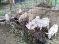 IMG_20251022_092621