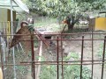 IMG_20251022_092636