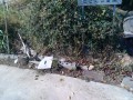 IMG_20251023_094129