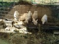 IMG_20251023_094734
