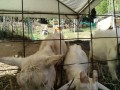 IMG_20251023_094932