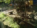 IMG_20251023_095048