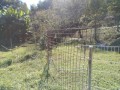 IMG_20251023_095100