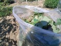 IMG_20251023_112346