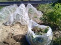 IMG_20251023_115101