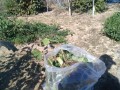 IMG_20251023_115103
