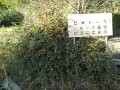 IMG_20251024_075504
