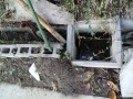 IMG_20251024_075507