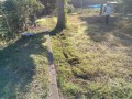 IMG_20251024_085401