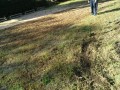 IMG_20251024_085404