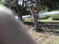 IMG_20251024_100948