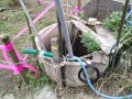 IMG_20251025_081449