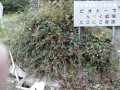 IMG_20251025_081455
